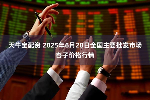 天牛宝配资 2025年6月20日全国主要批发市场杏子价格行情