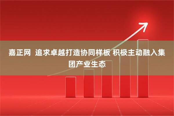 嘉正网  追求卓越打造协同样板 积极主动融入集团产业生态