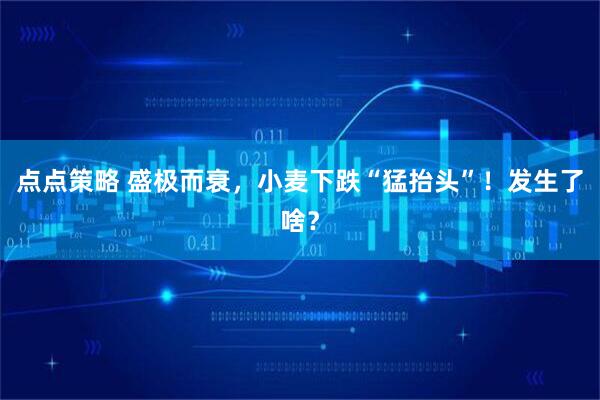 点点策略 盛极而衰，小麦下跌“猛抬头”！发生了啥？